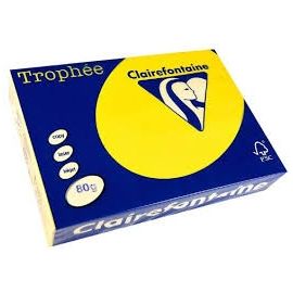 RISMA CLAIREFONTAINETROPHE A4 GR.80 FF500 GIALLO SOLE